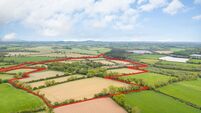 Lively Adare auction sees 20ac holding sell for €855k