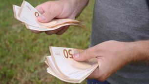 <p>Macra na Feirme has said the government should reinvest farmer supports back into the agricultural sector.</p> <p>Macra na Feirme has said the government should reinvest farmer supports back into the agricultural sector.</p>