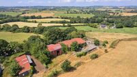 38a East Cork holding with useful outbuildings guiding €18k/acre