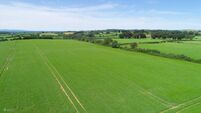 Lively Adare auction sees 20ac holding sell for €855k