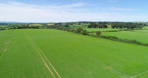 50ac Tempting Tipperary holding priced at €11k/acre