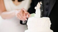 Newlyweds cutting wedding cake