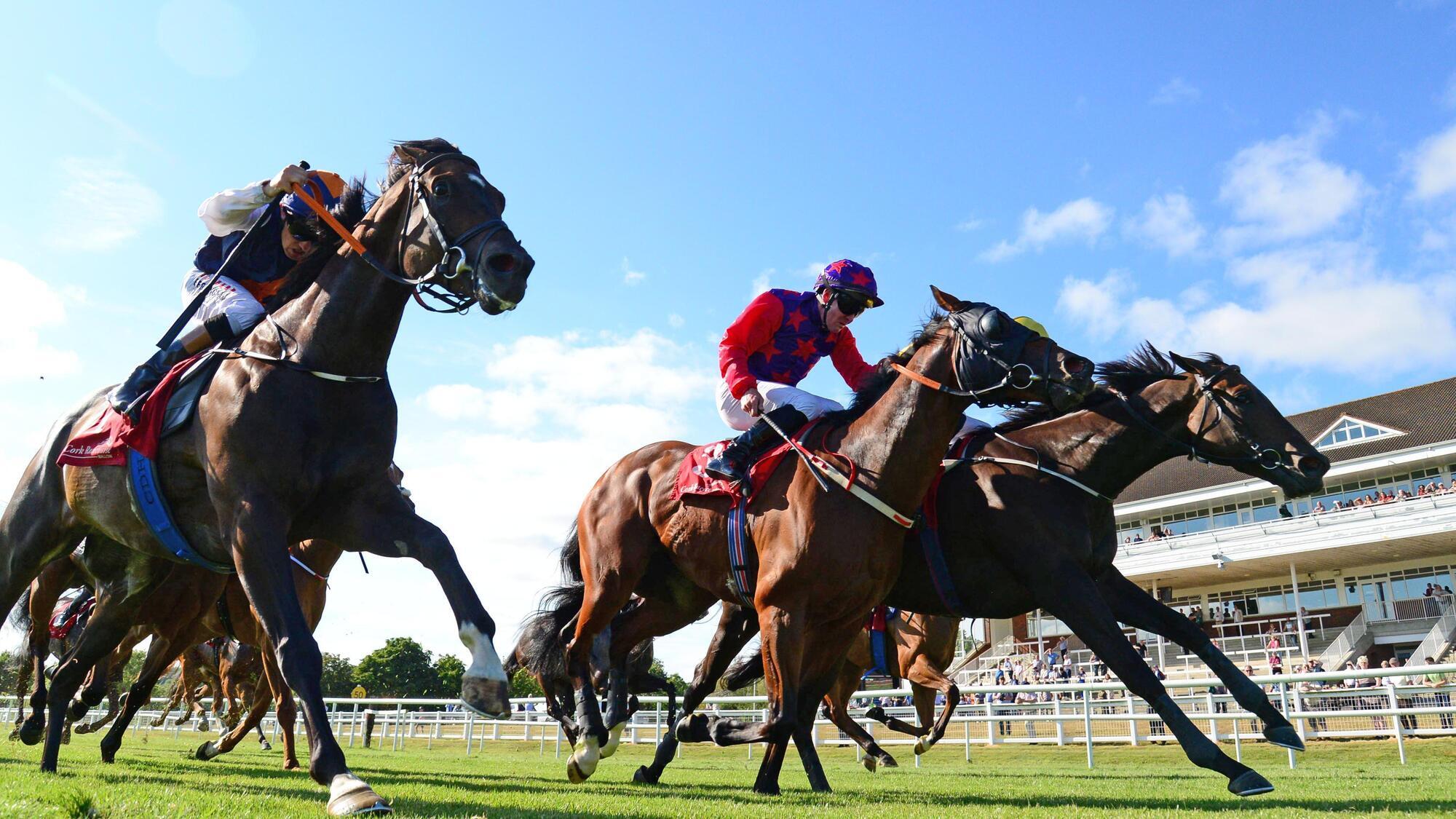 Ipanema Queen & Donagh O'Connor (right) win the Doneraile Handicap from Erosandpsyche  and Kendall Roy. Picture: Healy Racing.