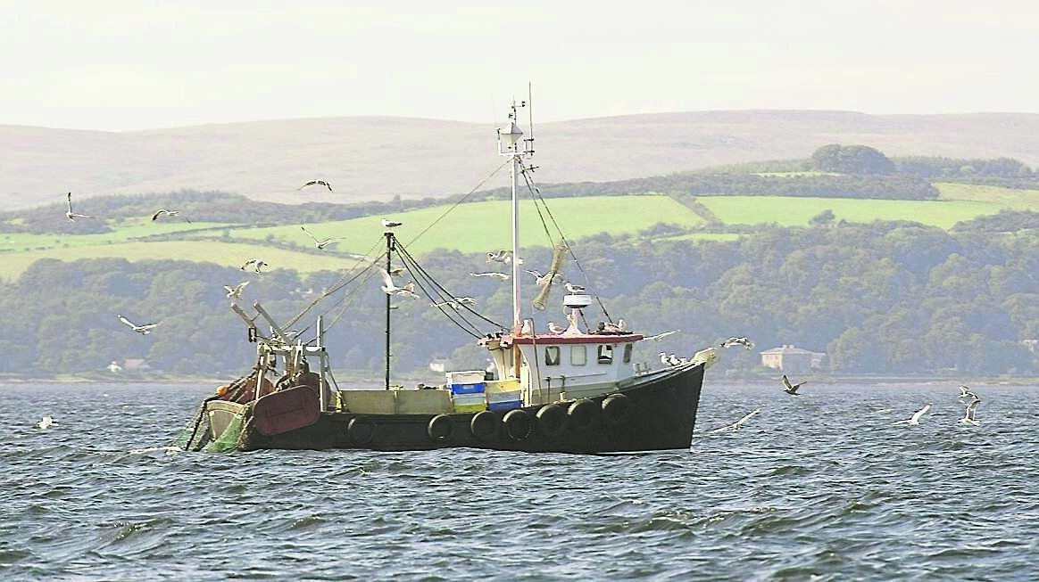 There is increasing recognition among those in fishing that drastic change is needed on the recovery of ocean life. 	Picture: iStock
                    