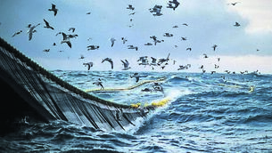 <p>Removing damaging types of fishing gear, particularly trawls and dredges, would hit fishing incomes in the short to medium terms. Picture: iStock</p> <p>Removing damaging types of fishing gear, particularly trawls and dredges, would hit fishing incomes in the short to medium terms. Picture: iStock</p>
