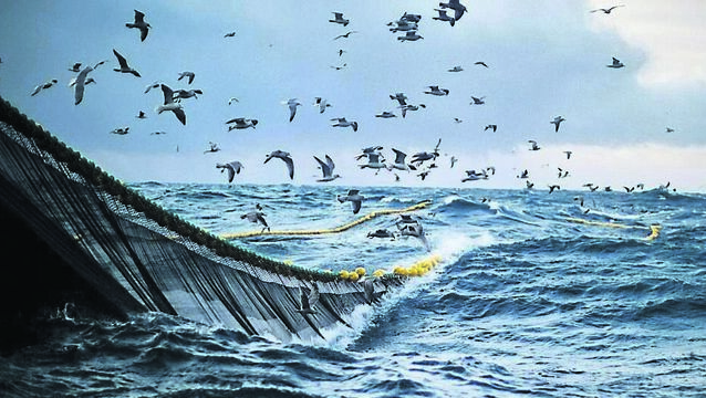 <p>Removing damaging types of fishing gear, particularly trawls and dredges, would hit fishing incomes in the short to medium terms. Picture: iStock</p>