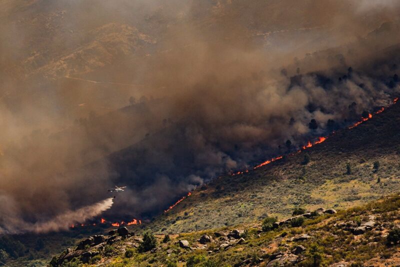 A wall of flames advances as a wildfire burns near Burgohondo, in Ávila province, Spain, Thursday, July 23, 2026. Picture: Mateo Lanzuela/Europa Press via AP