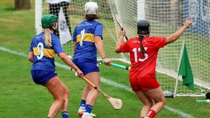 <p>Cork's Amy O’Connor celebrates a goal against Tipperary. Pic: ©INPHO/Bryan Keane</p>