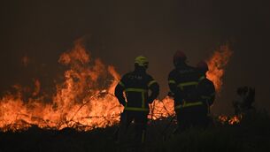 Firefighters spray water in a burning forest near Lacanau, southwestern France (Emma Da Silva/AP)