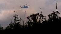 Slievenamon wildfire