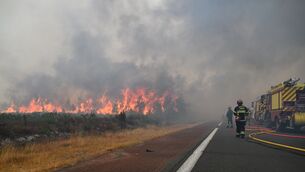 Firefighters spray water in a burning forest near Lacanau, southwestern France, on Saturday (Emma Da Silva/AP) Firefighters spray water in a burning forest near Lacanau, southwestern France, on Saturday (Emma Da Silva/AP)