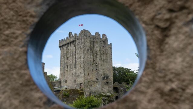 <p>Blarney Castle's owner opposed a bid to register Blarney Emerald as a trade mark. <span class="contextmenu emphasis CaptionCredit">Picture: Dan Linehan</span>
            </p>