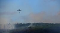 Slievenamon wildfire