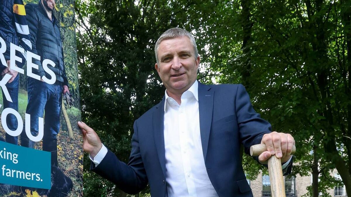 Niall Collins: No 'quick fix' solution to Aughinish Alumina exports