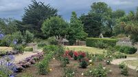 Memorial garden honours 'Irish Roses' shipped to Australia in 18th and 19th century
