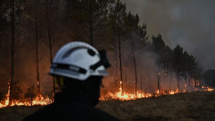 Wildfires are burning near Marcheprime, outside, Bordeaux (AP)