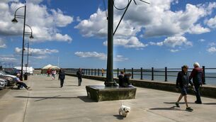 <p>Tramore active travel works are causing “mayhem and disruption” across Tramore town, according to a local councillor.</p>