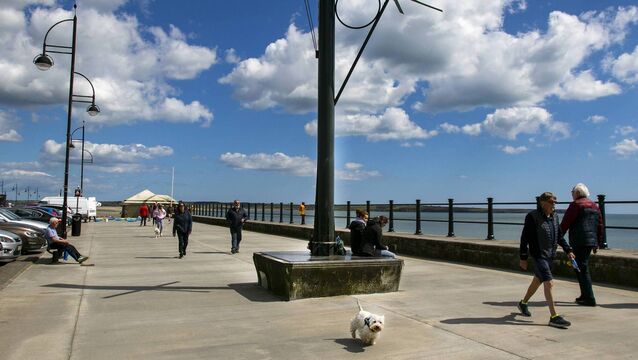 <p>Tramore active travel works are causing “mayhem and disruption” across Tramore town, according to a local councillor.</p>