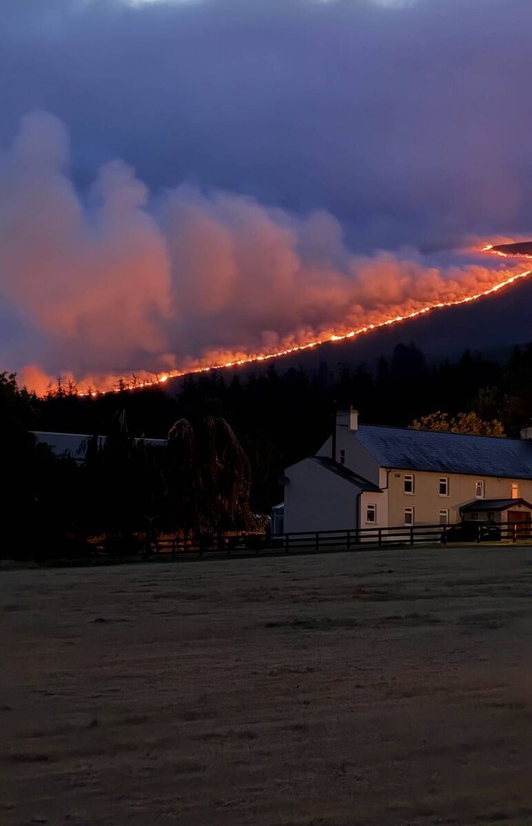 The burning forestry on Slievenamon Mountain.  Picture: Roz Purcell/Instagram.