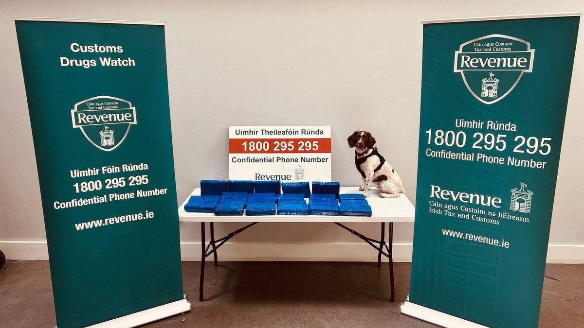 Two arrested as revenue seizes €11.5m worth of cocaine and cannabis at Dublin Port