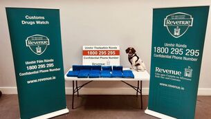 <p>Revenue detector dog Darcy pictured with seized cocaine. Picture: Revenue</p>