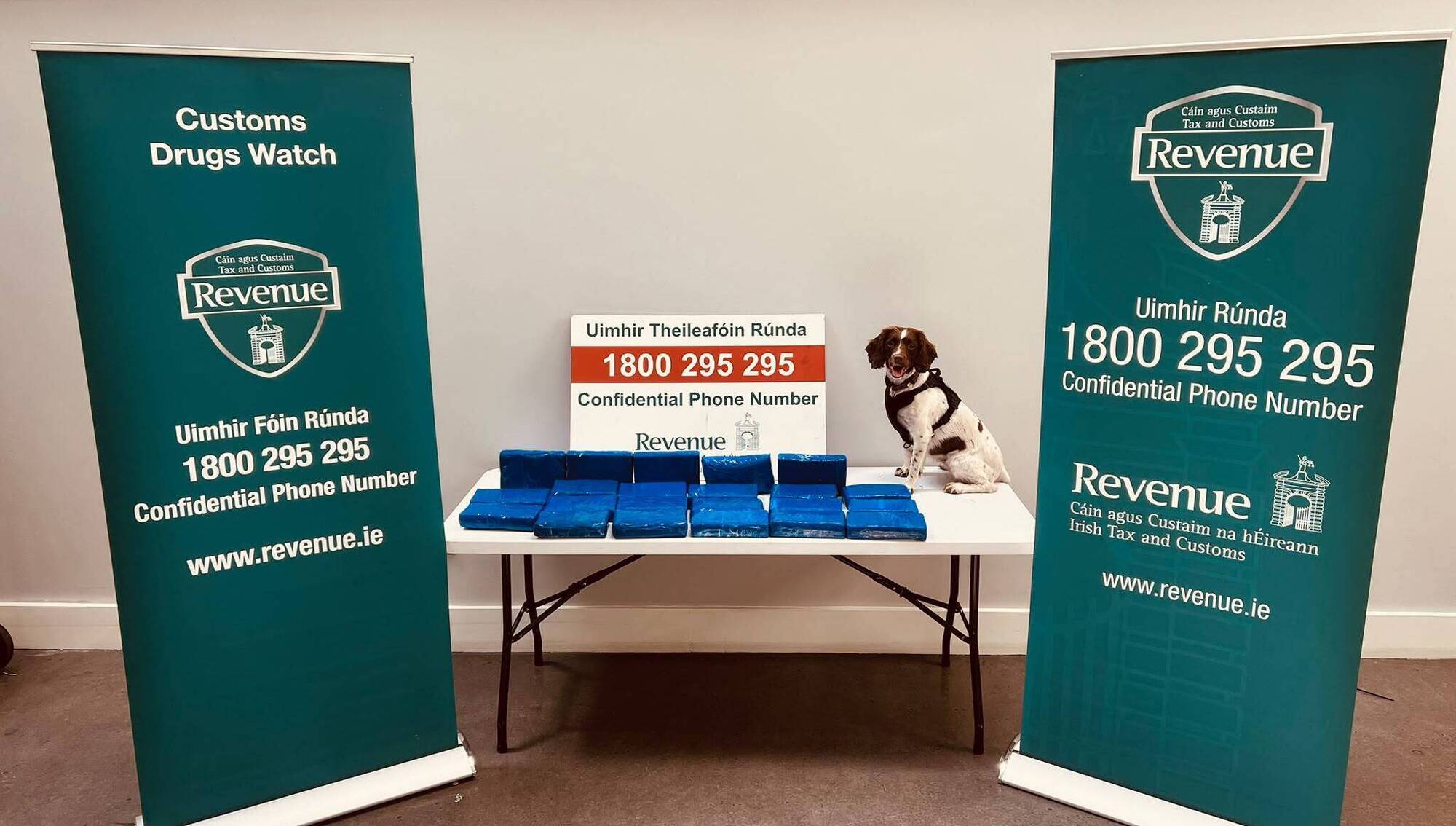 Revenue detector dog Darcy pictured with seized cocaine. Picture: Revenue