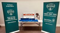Two arrested as revenue seizes €11.5m worth of cocaine and cannabis at Dublin Port