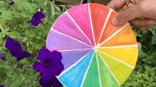 <p>Nature is a source of inspiration for every colour scheme. File pictures</p> <p>Nature is a source of inspiration for every colour scheme. File pictures</p>