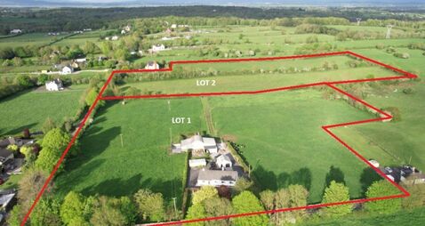 Lively Adare auction sees 20ac holding sell for €855k