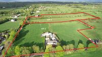 Lively Adare auction sees 20ac holding sell for €855k