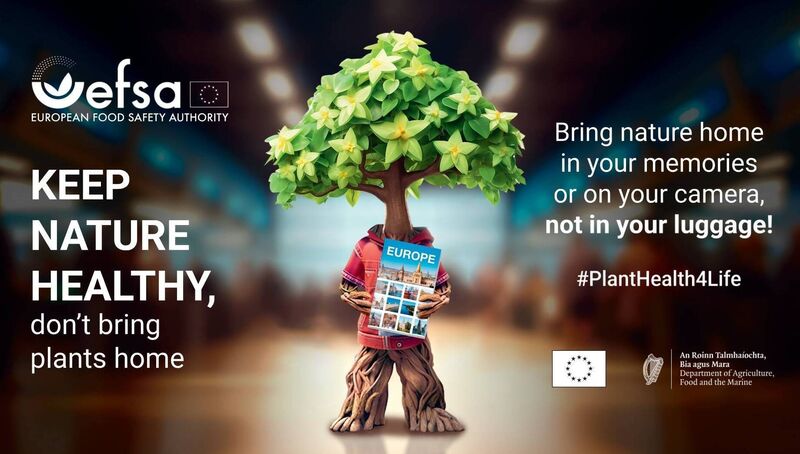 The European Food Safety Authority and the Department of Agriculture, Food and the Marine are warning holidaymakers not to bring plants home from abroad. 