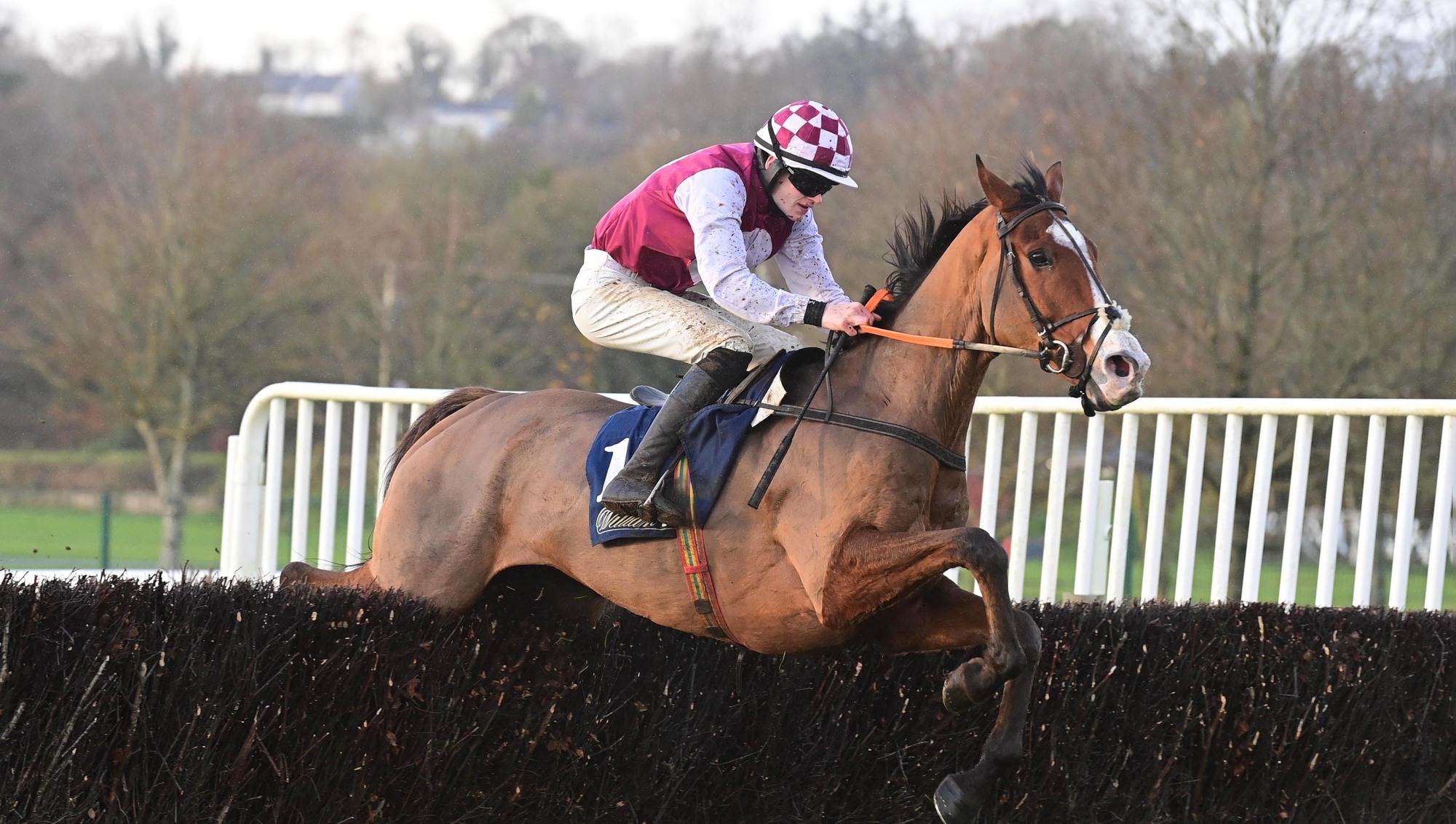 Nowwhatdoyouthink ahasn't looked back since winning the William Hill Each Way Extra Challenge Series Irish EBF Beginners Steeplechase at Cork in November. Pic: Healy Racing Photo.