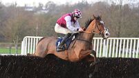 Gordon Elliott can enhance Galway Plate record with stable newcomer Nowwhatdoyouthink