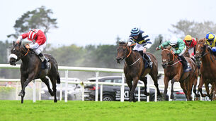 <p> 28-7-26 Galway.</p>