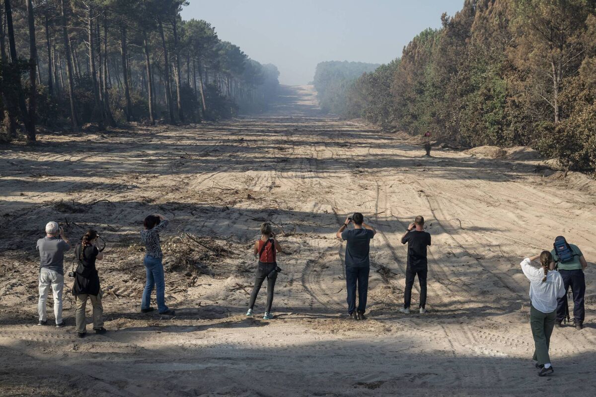 Journalists look at a fire line, a break in vegetation, with French firefighters near Lege-Cap-Ferret, southwestern France, on Tuesday. Picture: Ed Jones/Getty Images