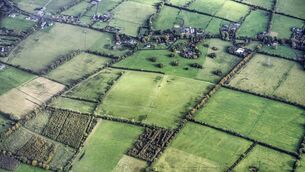<p>Teagasc's total income for 2025 increase by 3.3% to €248m. Picture: Noel Bennett</p>