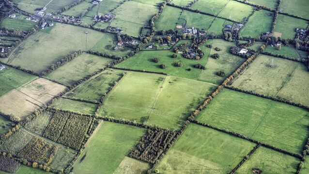 <p>Teagasc's total income for 2025 increase by 3.3% to €248m. Picture: Noel Bennett</p>