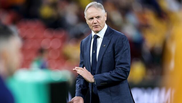 <p>Joe Schmidt recently departed as Australia head coach after two years in the role. Pic: ©INPHO/Billy Stickland</p>
