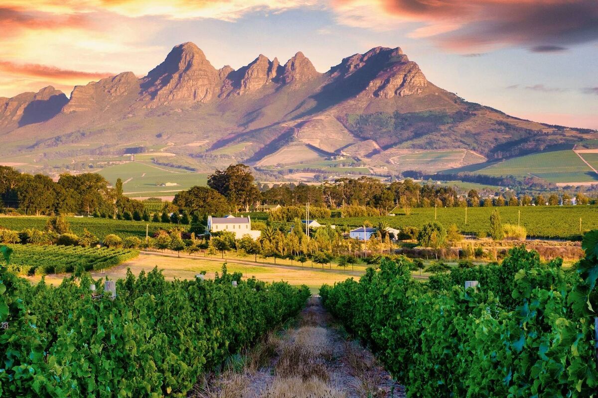Majestic mountains in Stellenbosch, near Cape Town, South Africa. An idyllic retreat for wine lovers.