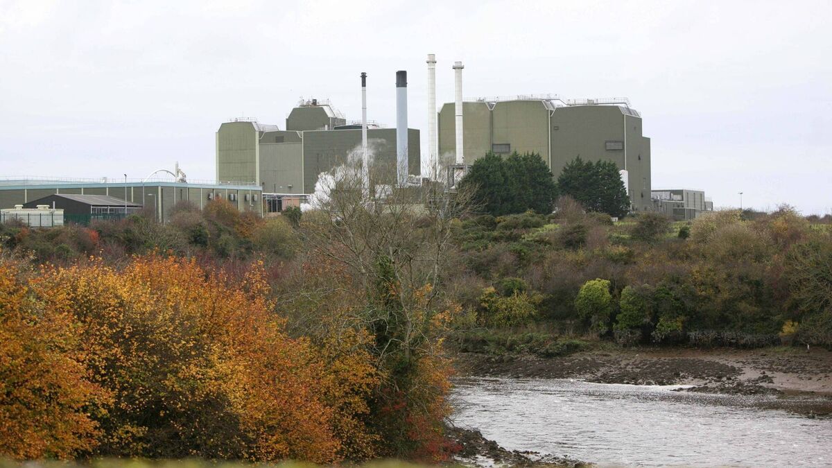 Nestlé sells Askeaton plant to US pharma buyer