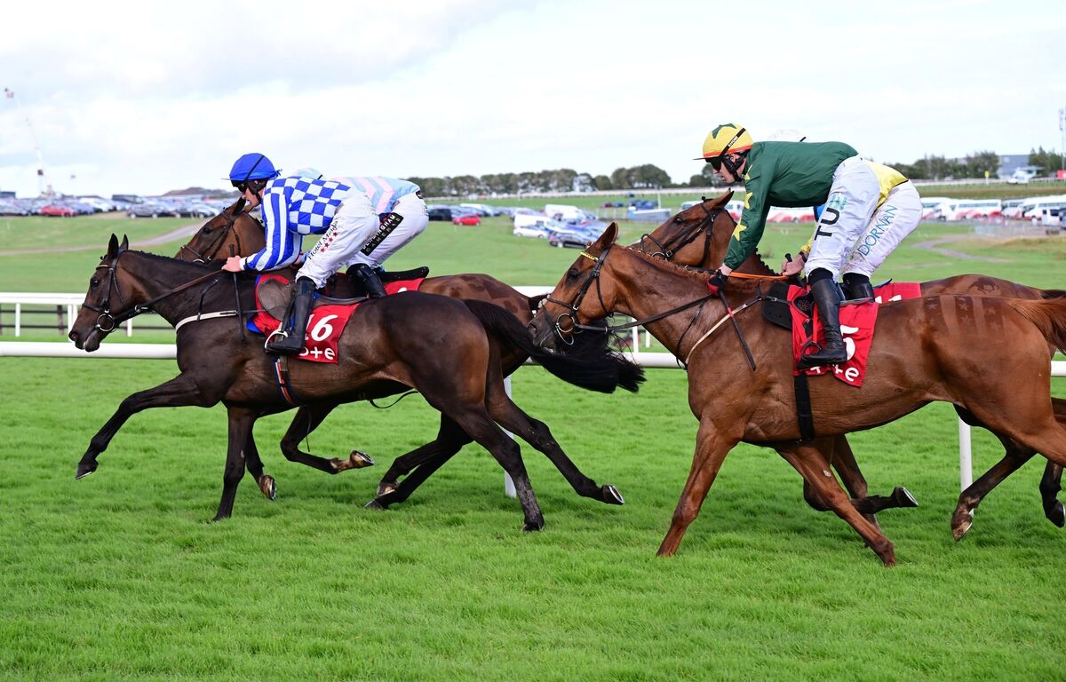 King Alexander &amp; Daniel King (Blue &amp; white check) head for home after the last fence to win the Tote Galway Plate for Willie Mullins. Pic: HEALY RACING.