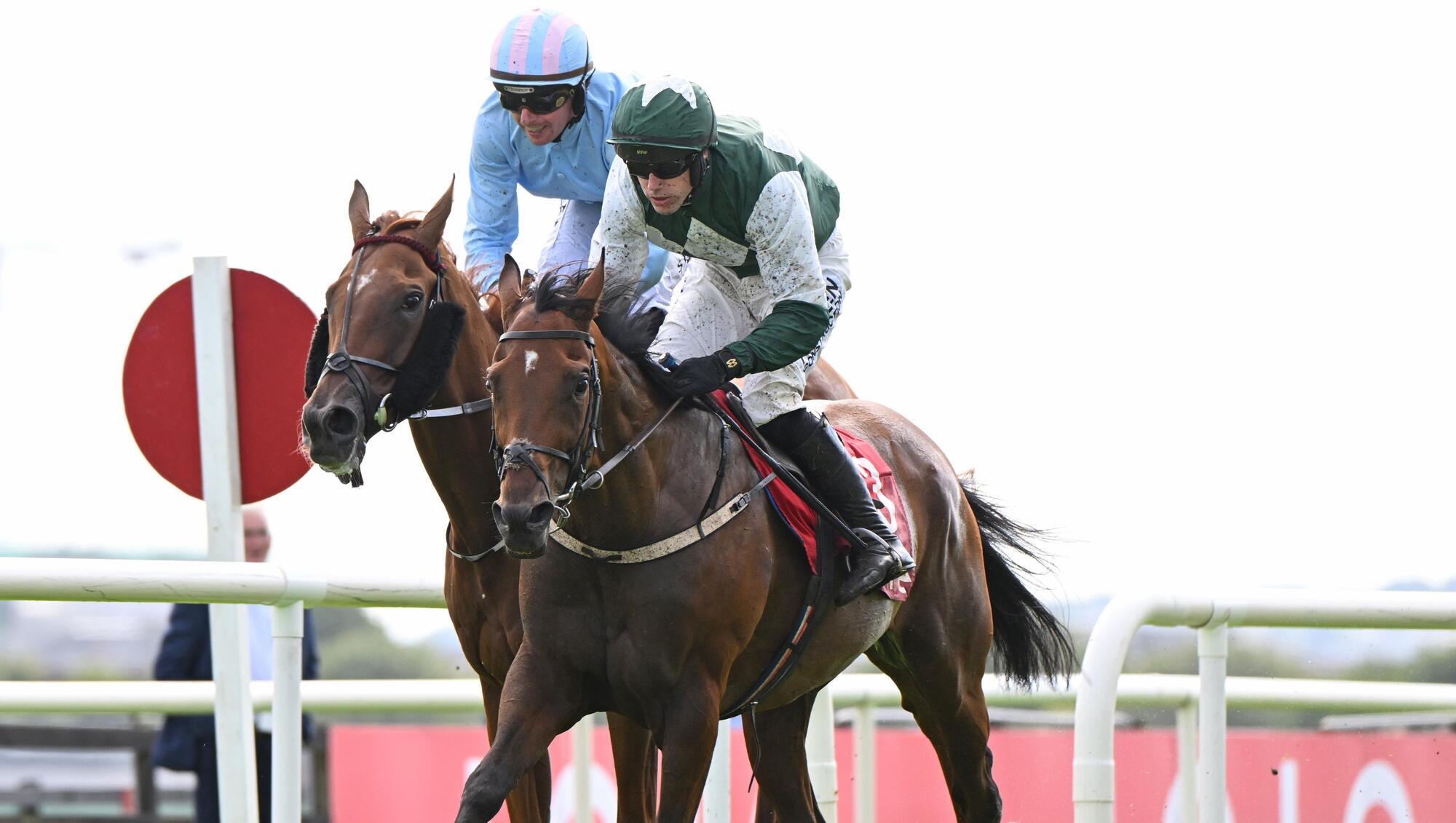 Mr Hollywood and Brian Hayes win the Tote Guaranteed 50K Placepot Maiden Hurdle from Jeroboam Machin. Pic: Healy Racing Photo.