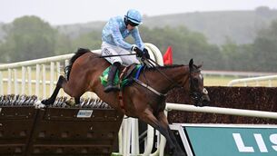 <p>TOUGH TO CALL: Murcia and Brian Hayes jump the last to win The Anglo Printers Remembering John H. Kierans Mares Hurdle for trainer Willie Mullins. Pic: Healy Racing Photo.</p> <p>TOUGH TO CALL: Murcia and Brian Hayes jump the last to win The Anglo Printers Remembering John H. Kierans Mares Hurdle for trainer Willie Mullins. Pic: Healy Racing Photo.</p>