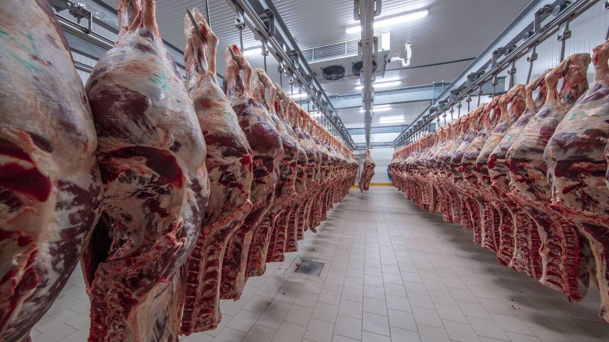 Ireland's UK beef trade at risk as 80,000 tonnes of Brazilian beef seek new home