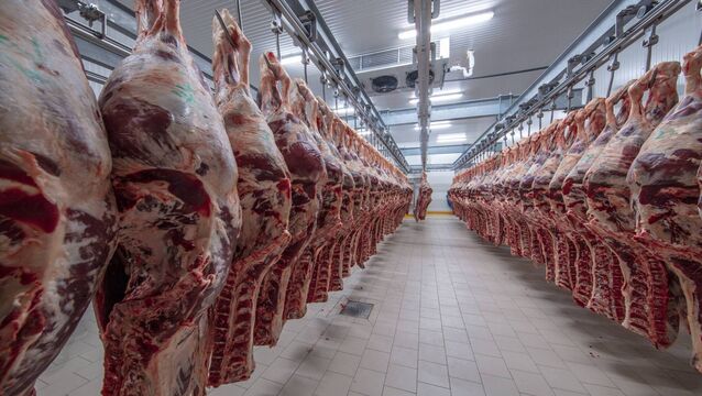 <p>If more Brazilian beef lands in the UK, the big loser will be Ireland, which depends on the UK to take nearly half of its beef production.</p>