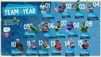 Neligan wins minor hurler gong as Limerick have seven on team of the year