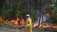 France Wildfires