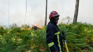 A firefighter works to suppress flames near Lacanau (Baz Ratner/AP) A firefighter works to suppress flames near Lacanau (Baz Ratner/AP)