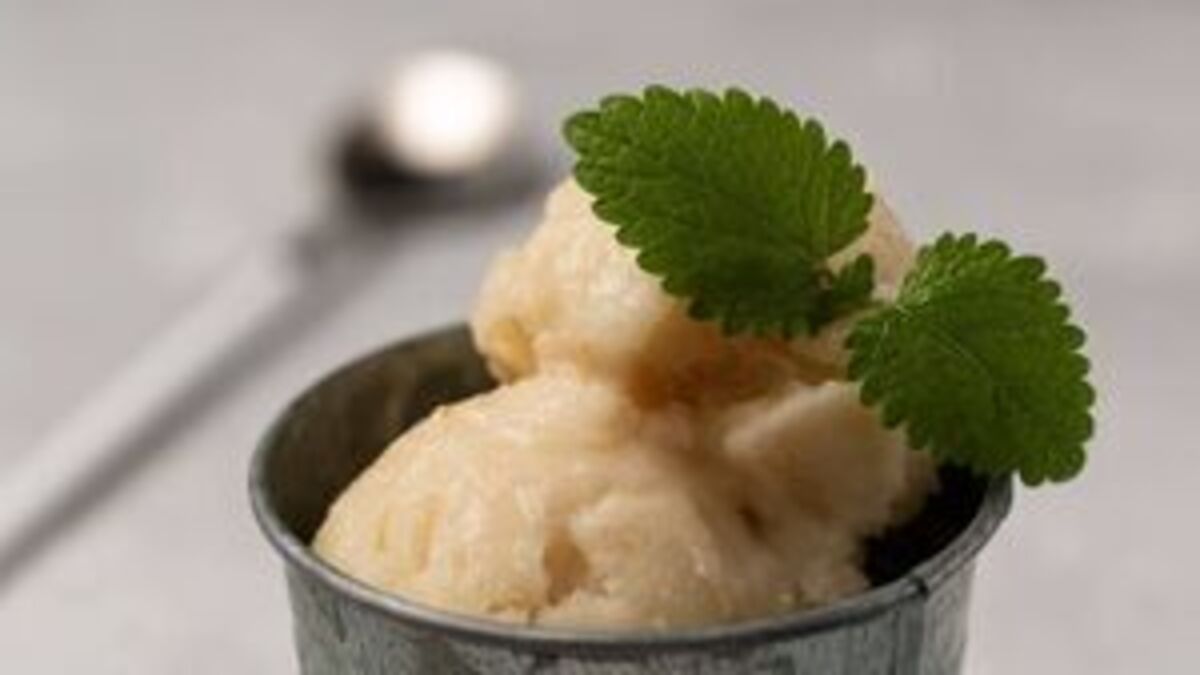 Meadowsweet Sorbet