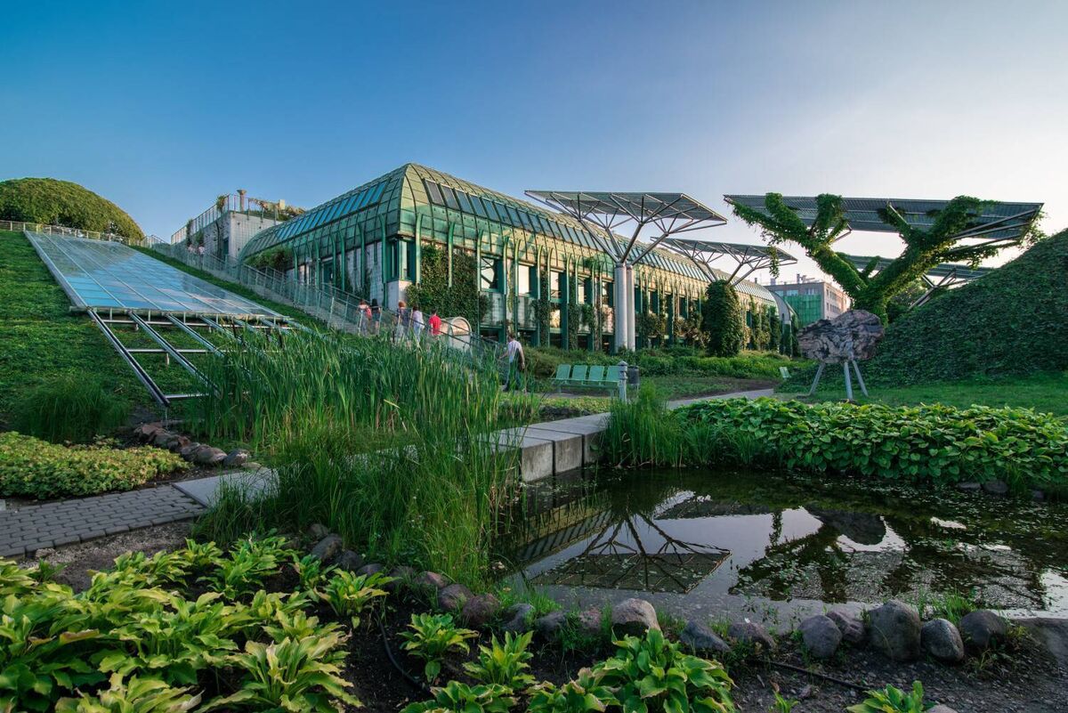 Acres of green rooftop gardens at the University of Warsaw Library. Image: BUW